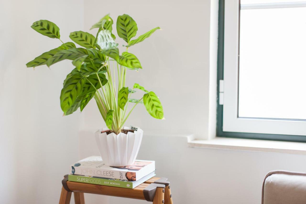 Martim Moniz Studio Apartments - By Lu Holidays Lisboa Extérieur photo